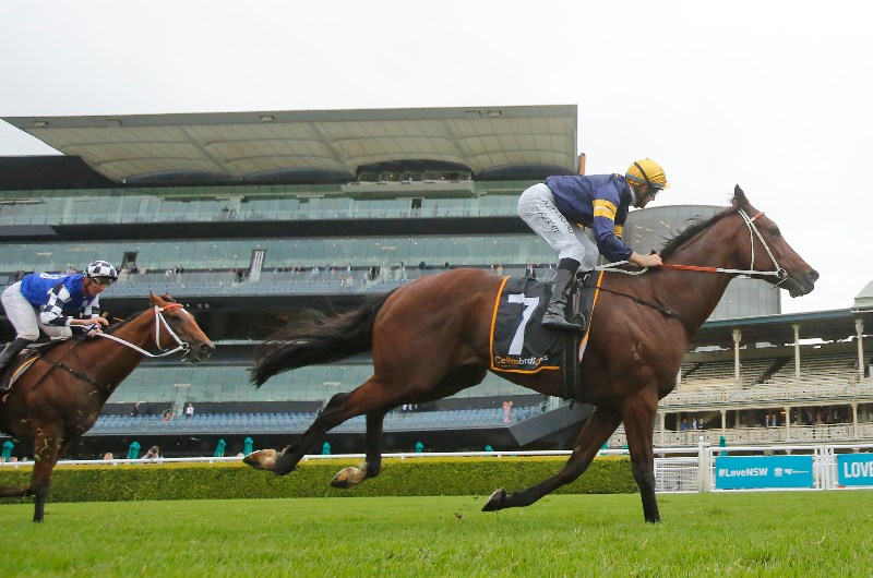 All Aged Stakes Tips