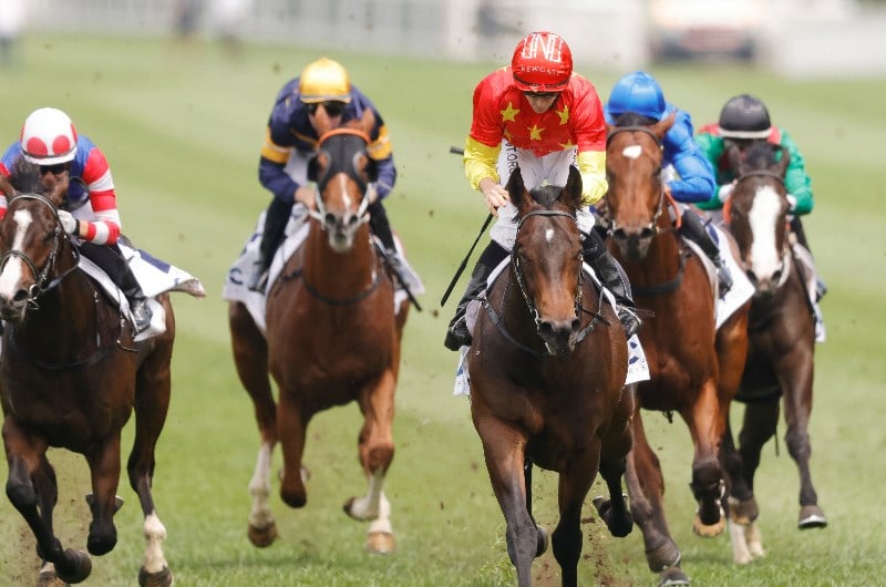 Champagne Stakes Betting Odds