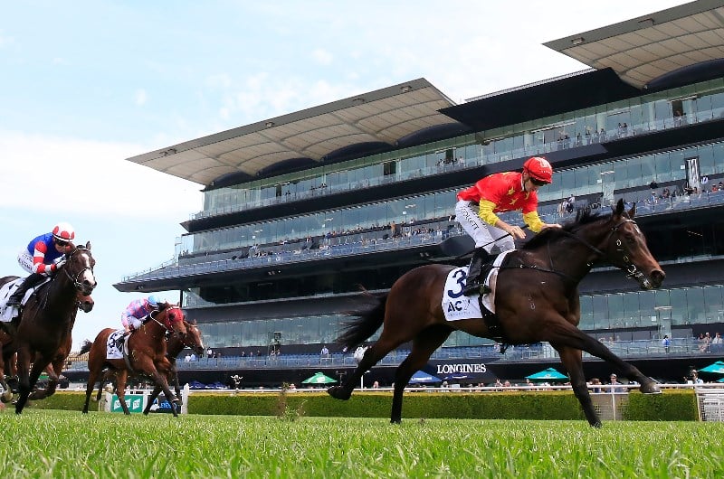 Champagne Stakes Tips