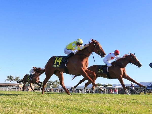 Canberra Tips for 05.02.2021