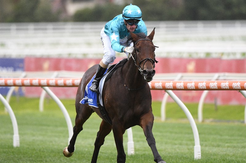 Morphettville Tips for 24.04.2021