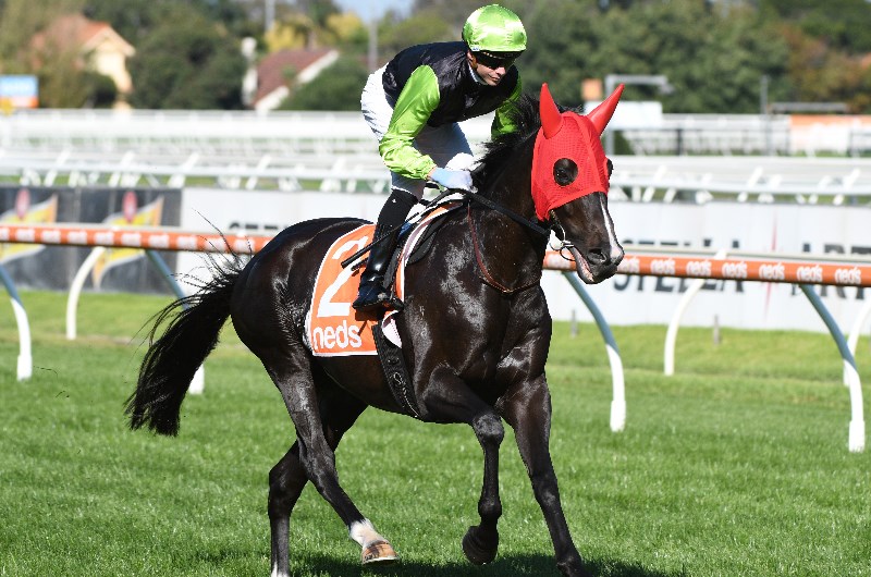 Flemington Betting Tips