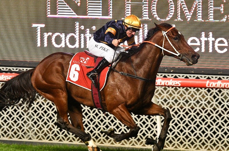 Masked Crusader Everest - news