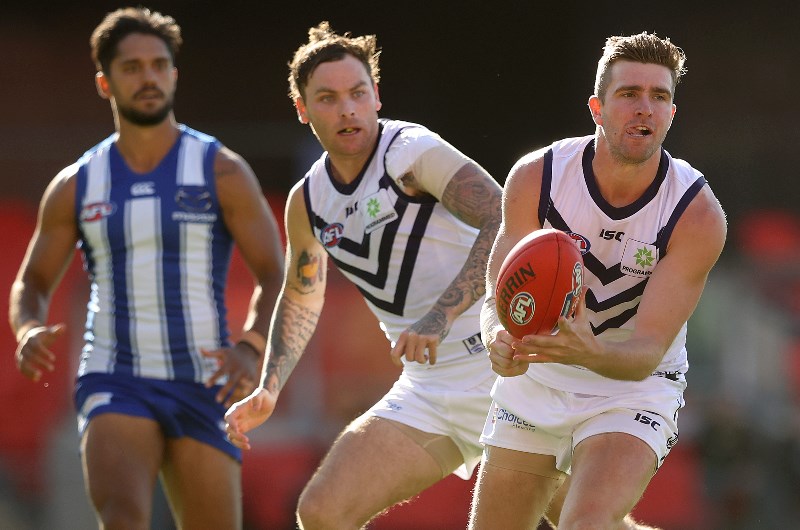 fremantle north melbourne