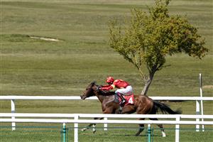 ESHER, ENGLAND - APRIL 23: David Egan riding Nelson Gay win The bet365 Handicap at Sandown Park Racecourse on April 23, 2021 in Esher, England. Sporting venues around the UK remain under restrictions due to the Coronavirus Pandemic. Only owners are allowed to attend the meeting but the public must wait until further restrictions are lifted. (Photo by Alan Crowhurst/Getty Images)