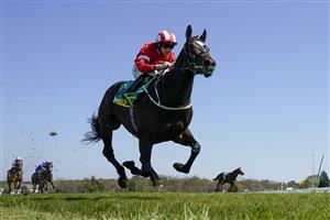 ESHER, ENGLAND - APRIL 23: Ben Curtis riding Naamoos win The bet365 Esher Cup Handicap with Rifleman in the distance after unshipping Ryan Moore at Sandown Park Racecourse on April 23, 2021 in Esher, England. Sporting venues around the UK remain under restrictions due to the Coronavirus Pandemic. Only owners are allowed to attend the meeting but the public must wait until further restrictions are lifted. (Photo by Alan Crowhurst/Getty Images)