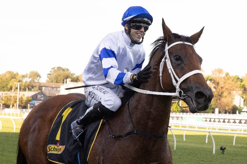 Big Bets Results from 24.04.2021