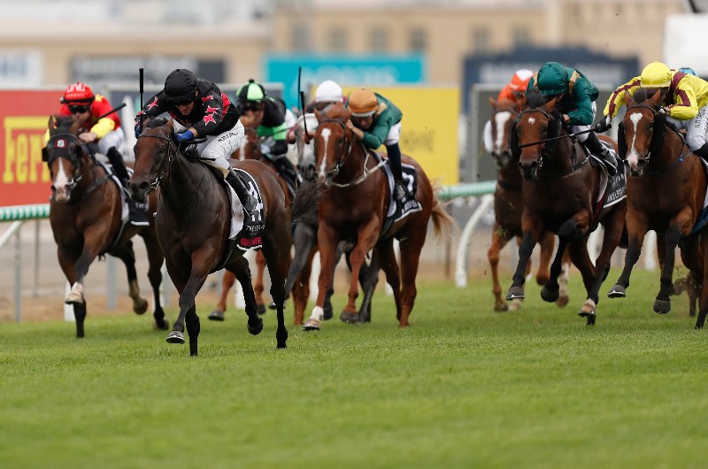 Gold Coast Night Racing - News