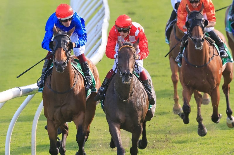 Robert Sangster Stakes Betting Odds