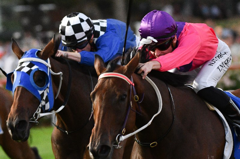 Sale Betting Tips