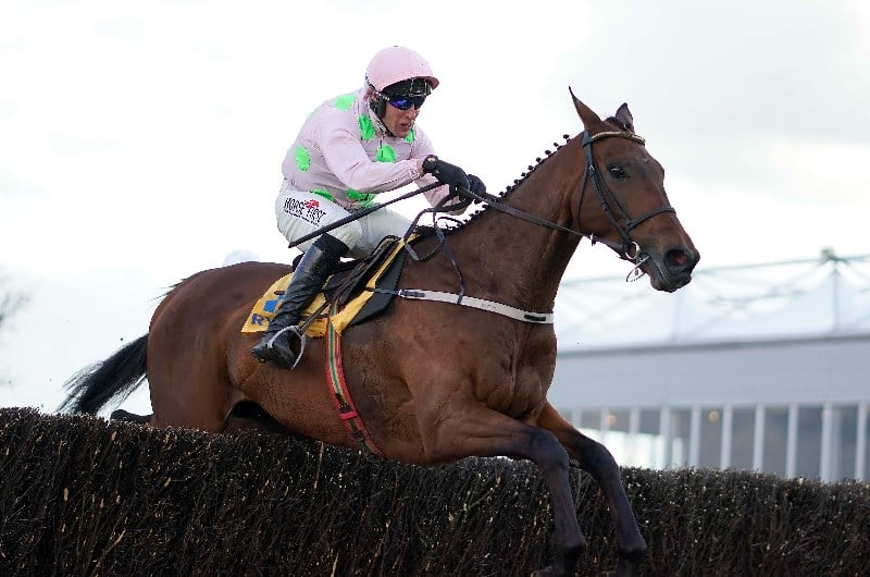 chacun pour soi punchestown