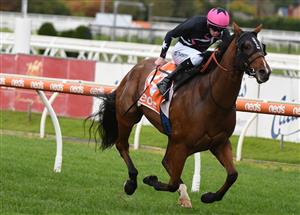 MELBOURNE, AUSTRALIA - APRIL 24: Damien Thornton riding Open Minded winning race 6, the Stow Storage Solutions Australia, during Melbourne Racing at Caulfield Racecourse on April 24, 2021 in Melbourne, Australia. (Photo by Vince Caligiuri/Getty Images)