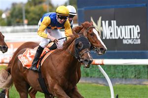 MELBOURNE, AUSTRALIA - APRIL 24: Matthew Cartwright riding Curran winning race 5, the The Di Beretta Handicap, during Melbourne Racing at Caulfield Racecourse on April 24, 2021 in Melbourne, Australia. (Photo by Vince Caligiuri/Getty Images)
