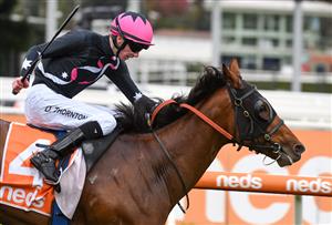 MELBOURNE, AUSTRALIA - APRIL 24: Damien Thornton riding Open Minded winning race 6, the Stow Storage Solutions Australia, during Melbourne Racing at Caulfield Racecourse on April 24, 2021 in Melbourne, Australia. (Photo by Vince Caligiuri/Getty Images)