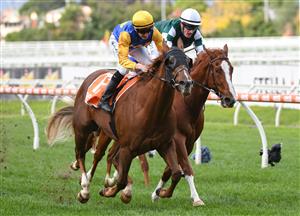 MELBOURNE, AUSTRALIA - APRIL 24: Matthew Cartwright riding Curran winning race 5, the The Di Beretta Handicap, during Melbourne Racing at Caulfield Racecourse on April 24, 2021 in Melbourne, Australia. (Photo by Vince Caligiuri/Getty Images)