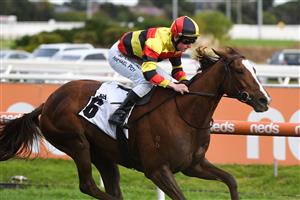 MELBOURNE, AUSTRALIA - APRIL 24: Michael Poy riding Still A Star winning Race 8, the Thoroughbred Club Anniversary Vase, during Melbourne Racing at Caulfield Racecourse on April 24, 2021 in Melbourne, Australia. (Photo by Vince Caligiuri/Getty Images)