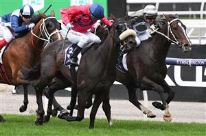 MELBOURNE, AUSTRALIA - APRIL 25: Billy Egan riding Real Sensation winning race 5, the Raaf Centenary, during Anzac Day Race Day at Flemington Racecourse on April 25, 2021 in Melbourne, Australia. (Photo by Vince Caligiuri/Getty Images)