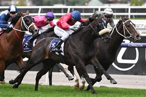 MELBOURNE, AUSTRALIA - APRIL 25: Billy Egan riding Real Sensation winning race 5, the Raaf Centenary, during Anzac Day Race Day at Flemington Racecourse on April 25, 2021 in Melbourne, Australia. (Photo by Vince Caligiuri/Getty Images)