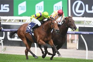 MELBOURNE, AUSTRALIA - APRIL 25: Daniel Moor riding Good and Proper winning Race 2, the Auckland Racing Club Trophy, during Anzac Day Race Day at Flemington Racecourse on April 25, 2021 in Melbourne, Australia. (Photo by Vince Caligiuri/Getty Images)