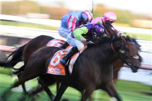 MELBOURNE, AUSTRALIA - APRIL 24: Beau Mertens riding Mr Exclusive winning Race 9, the Dexion Victoria Handicap, during Melbourne Racing at Caulfield Racecourse on April 24, 2021 in Melbourne, Australia. (Photo by Vince Caligiuri/Getty Images)
