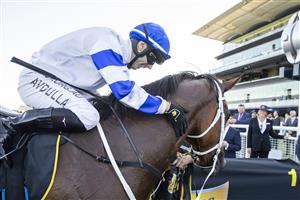 SYDNEY, AUSTRALIA - APRIL 24: Brenton Avdulla pats Kolding after winning race 7 the Schweppes All Aged Stakes during Sydney Racing at Royal Randwick Racecourse on April 24, 2021 in Sydney, Australia. (Photo by Jenny Evans/Getty Images)