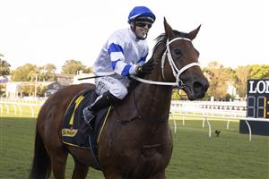SYDNEY, AUSTRALIA - APRIL 24: Brenton Avdulla pats Kolding after winning race 7 the Schweppes All Aged Stakes during Sydney Racing at Royal Randwick Racecourse on April 24, 2021 in Sydney, Australia. (Photo by Jenny Evans/Getty Images)