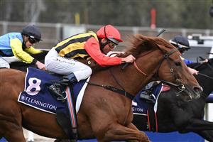 MELBOURNE, AUSTRALIA - APRIL 25: Damien Oliver riding Vassilator winning Race 7, the The Les Carlyon, during Anzac Day Race Day at Flemington Racecourse on April 25, 2021 in Melbourne, Australia. (Photo by Vince Caligiuri/Getty Images)