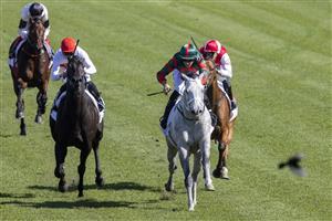 SYDNEY, AUSTRALIA - APRIL 24: Hugh Bowman on Senor Toba (grey) wins race 3 the Acy Securities Frank Packer Plate during Sydney Racing at Royal Randwick Racecourse on April 24, 2021 in Sydney, Australia. (Photo by Jenny Evans/Getty Images)