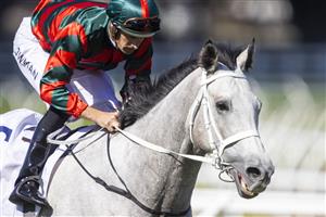 SYDNEY, AUSTRALIA - APRIL 24: Hugh Bowman on Senor Toba (grey) wins race 3 the Acy Securities Frank Packer Plate during Sydney Racing at Royal Randwick Racecourse on April 24, 2021 in Sydney, Australia. (Photo by Jenny Evans/Getty Images)
