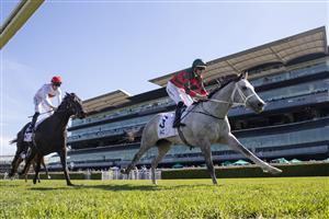 SYDNEY, AUSTRALIA - APRIL 24: Hugh Bowman on Senor Toba (grey) wins race 3 the Acy Securities Frank Packer Plate during Sydney Racing at Royal Randwick Racecourse on April 24, 2021 in Sydney, Australia. (Photo by Jenny Evans/Getty Images)