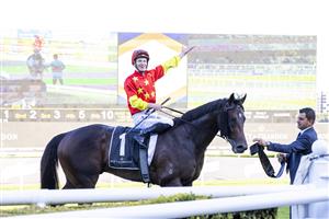 SYDNEY, AUSTRALIA - APRIL 24: James McDonald raises his arm in the air after winning race 6 the Moët & Chandon Champagne Stakes during Sydney Racing at Royal Randwick Racecourse on April 24, 2021 in Sydney, Australia. (Photo by Jenny Evans/Getty Images)
