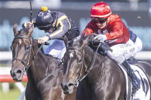 SYDNEY, AUSTRALIA - APRIL 24: Jamie Kah (red) on All Hallows's Eve wins race 2 the Mostyn Copper JHB Carr Stakes during Sydney Racing at Royal Randwick Racecourse on April 24, 2021 in Sydney, Australia. (/Getty)
