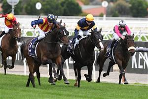 MELBOURNE, AUSTRALIA - APRIL 25: Mark Zahra riding Through Irish Eyes winning race 6, the Vrc St Leger, during Anzac Day Race Day at Flemington Racecourse on April 25, 2021 in Melbourne, Australia. (Photo by Vince Caligiuri/Getty Images)