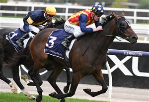 MELBOURNE, AUSTRALIA - APRIL 25: Mark Zahra riding Through Irish Eyes winning race 6, the Vrc St Leger, during Anzac Day Race Day at Flemington Racecourse on April 25, 2021 in Melbourne, Australia. (Photo by Vince Caligiuri/Getty Images)