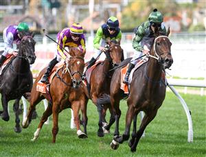MELBOURNE, AUSTRALIA - APRIL 24: Michael Walker riding Brookspire winning Race 2, the Ern Jensen Funerals Handicap, during Melbourne Racing at Caulfield Racecourse on April 24, 2021 in Melbourne, Australia. (Photo by Vince Caligiuri/Getty Images)