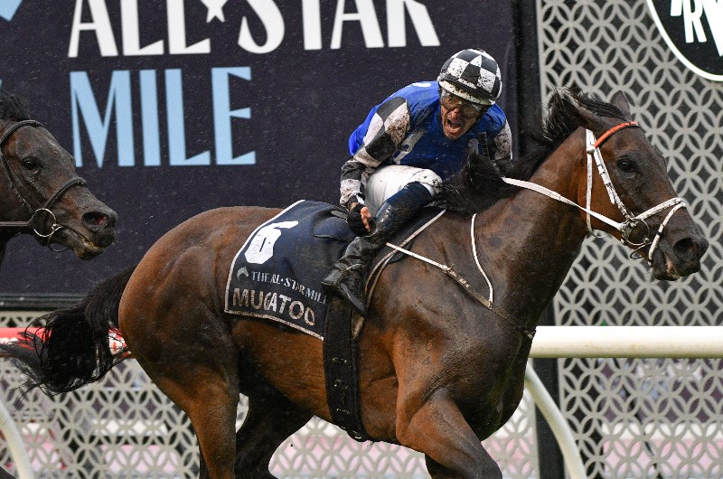 Doomben Cup Betting Odds