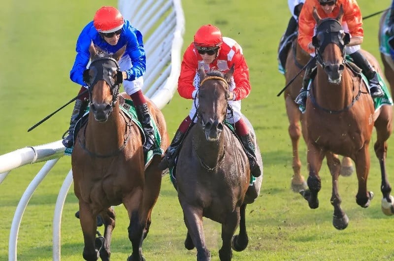 Robert Sangster Stakes Betting Odds