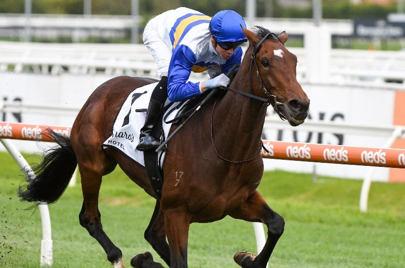 South Australian Derby Betting Odds