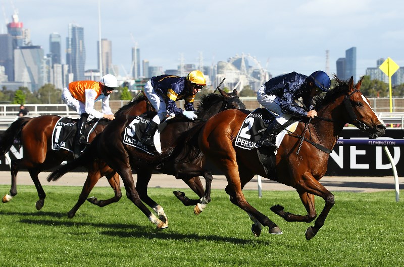 Australasian Oaks Tips