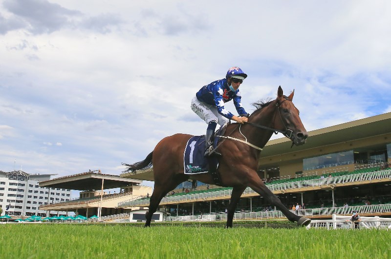 Hugh Bowman Megabet