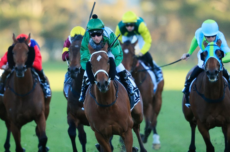 Robert Sangster Stakes Tips