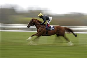 ASCOT, ENGLAND - APRIL 28: Frankie Dettori riding Stradivarius on their way to winning The Longines Sagaro Stakes at Ascot Racecourse on April 28, 2021 in Ascot, England. Sporting venues around the UK remain under restrictions due to the Coronavirus Pandemic. Only owners are allowed to attend the meeting but the public must wait until further restrictions are lifted. (Photo by Alan Crowhurst/Getty Images)