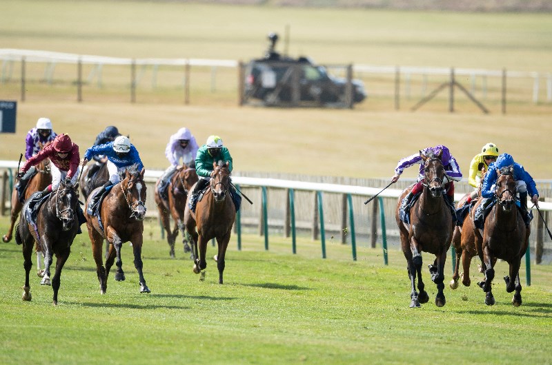 2000 guineas