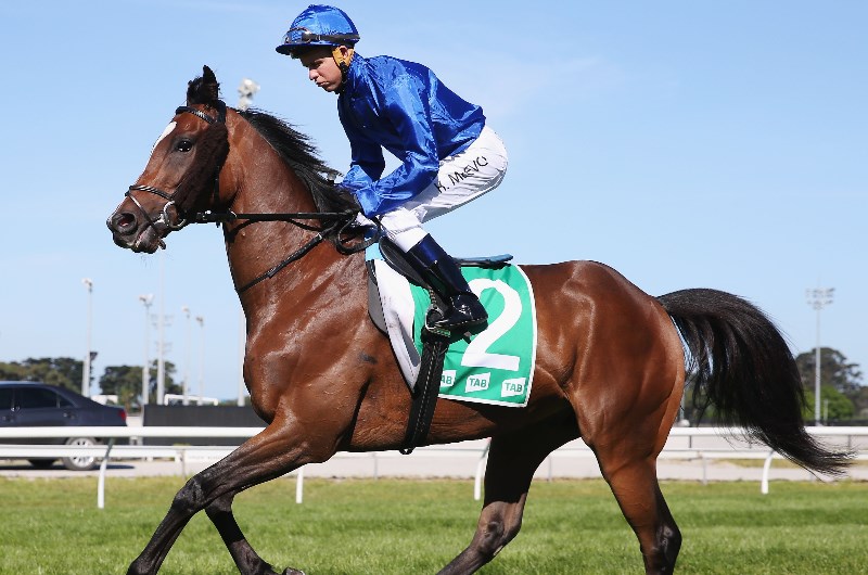 Cranbourne Betting Tips