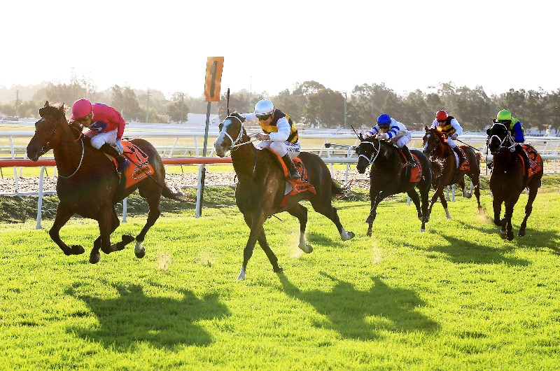 Hawkesbury Tips for 01.05.2021