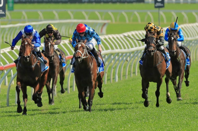 Muswellbrook Tips for Saturday, October 22