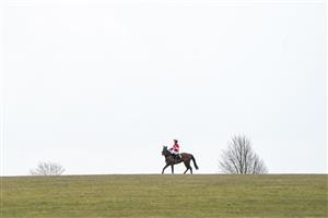 NEWMARKET, ENGLAND - MAY 02: A general view as a runner pulls up after finishing The Better Odds On Betfair Exchange Handicap at Newmarket Racecourse on May 02, 2021 in Newmarket, England. Only owners are allowed to attend the meeting but the public must wait until further restrictions are lifted. (Photo by Alan Crowhurst/Getty Images)