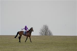 NEWMARKET, ENGLAND - MAY 02: Frankie Dettori celebrates after riding Mother Earth to win The Qipco 1000 Guineas Stakes at Newmarket Racecourse on May 02, 2021 in Newmarket, England. Only owners are allowed to attend the meeting but the public must wait until further restrictions are lifted. (Photo by Alan Crowhurst/Getty Images)