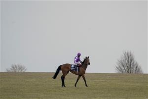 NEWMARKET, ENGLAND - MAY 02: Frankie Dettori celebrates after riding Mother Earth to win The Qipco 1000 Guineas Stakes at Newmarket Racecourse on May 02, 2021 in Newmarket, England. Only owners are allowed to attend the meeting but the public must wait until further restrictions are lifted. (Photo by Alan Crowhurst/Getty Images)