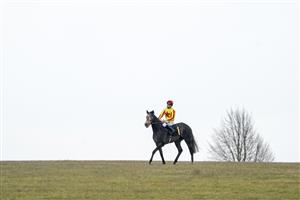 NEWMARKET, ENGLAND - MAY 02: Jamie Spencer riding River Alwen pull up after winning The Better Odds On Betfair Exchange Handicap at Newmarket Racecourse on May 02, 2021 in Newmarket, England. Only owners are allowed to attend the meeting but the public must wait until further restrictions are lifted. (Photo by Alan Crowhurst/Getty Images)